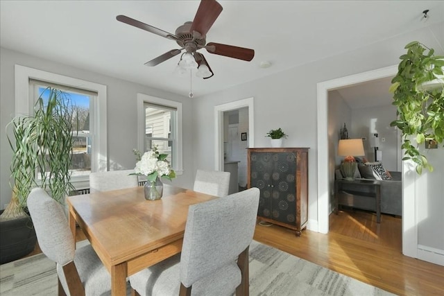 dining space featuring ceiling fan and light hardwood / wood-style floors