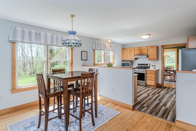 kitchen with pendant lighting, light wood-style floors, light countertops, under cabinet range hood, and appliances with stainless steel finishes