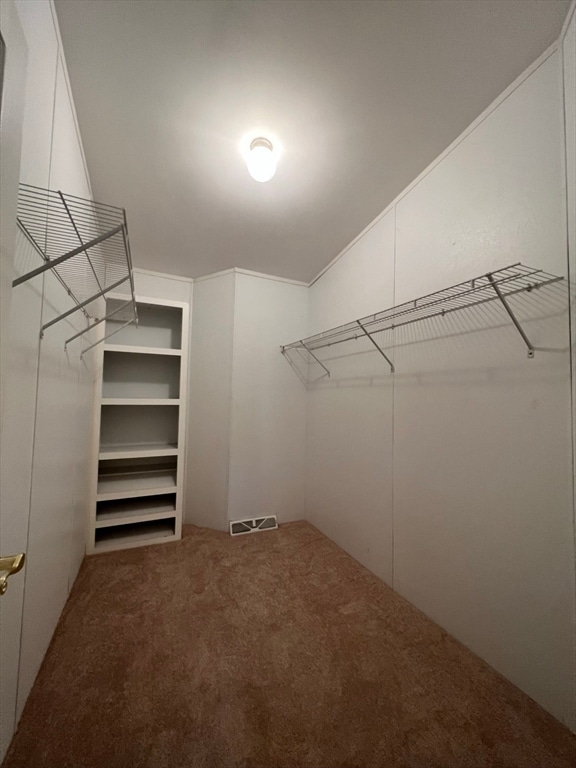 walk in closet with carpet floors