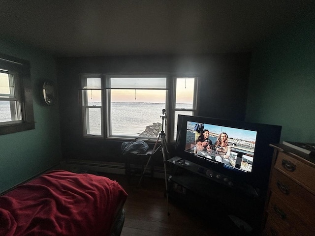 bedroom featuring dark hardwood / wood-style flooring and multiple windows