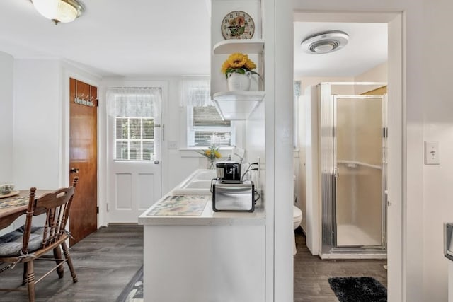 interior space with hardwood / wood-style floors, walk in shower, toilet, and vanity