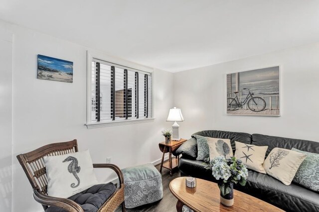 living room with wood-type flooring