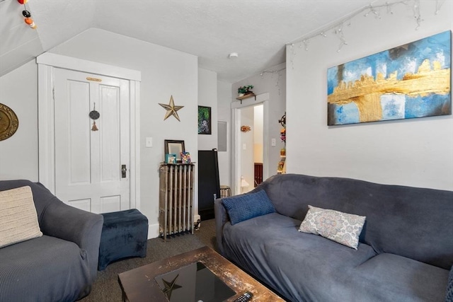 living room featuring lofted ceiling and carpet floors