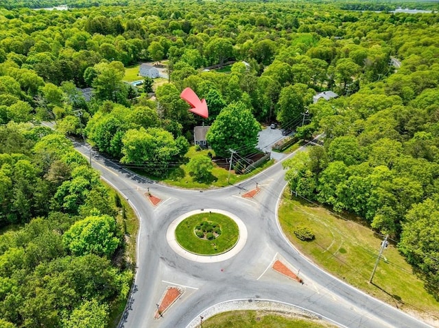 1230 Rte 149, Barnstable, MA 02648 - aerial view of a forest