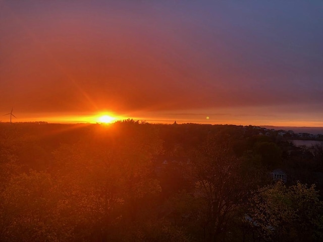 view of nature at dusk