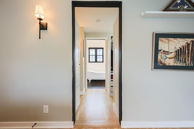 18 Carolina St, Medford, MA 02155 - hallway with light wood-style flooring and baseboards