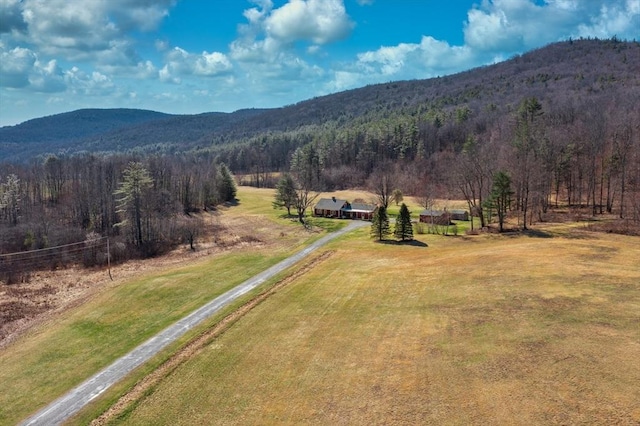 310 S River Rd, Charlemont, MA 01339 - drone / aerial view featuring a mountain view, a rural view, and a forest view