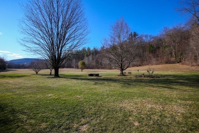 310 S River Rd, Charlemont, MA 01339 - view of yard