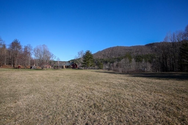 310 S River Rd, Charlemont, MA 01339 - mountain view
