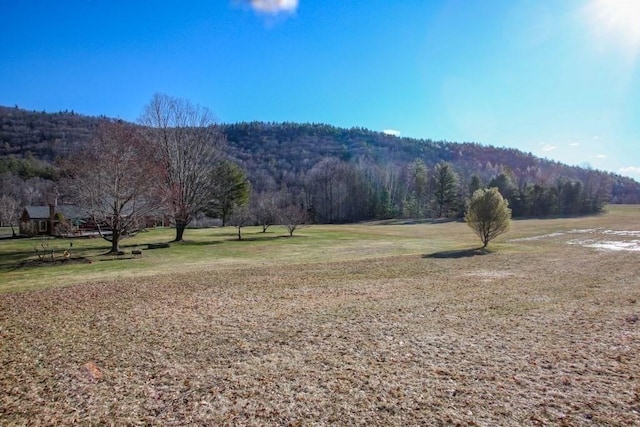 310 S River Rd, Charlemont, MA 01339 - property view of mountains with a view of trees