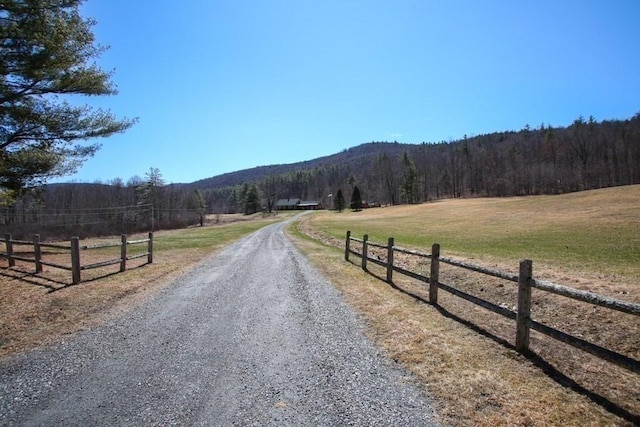 310 S River Rd, Charlemont, MA 01339 - view of street with driveway, a rural view, a wooded view, and a mountain view