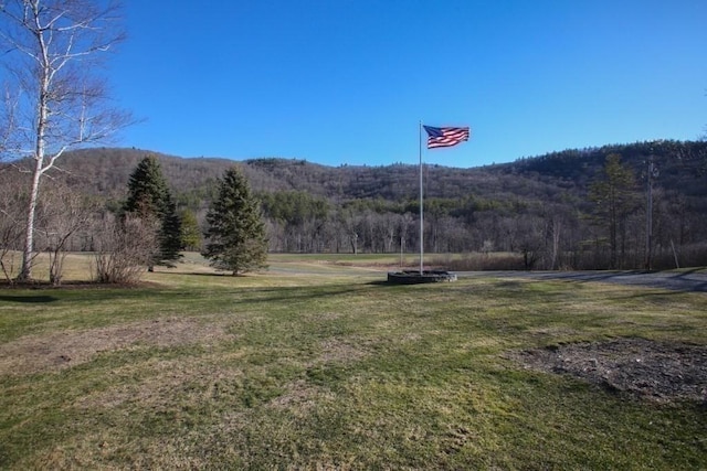 310 S River Rd, Charlemont, MA 01339 - property view of mountains featuring a forest view