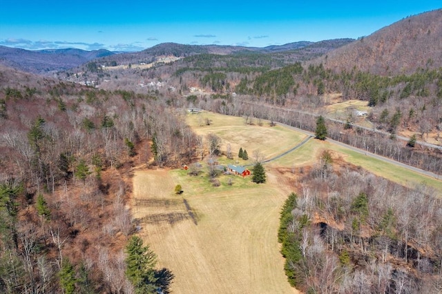 310 S River Rd, Charlemont, MA 01339 - bird's eye view with a mountain view and a rural view