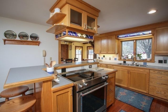 310 S River Rd, Charlemont, MA 01339 - kitchen featuring dark wood finished floors, a wealth of natural light, electric range, and a sink