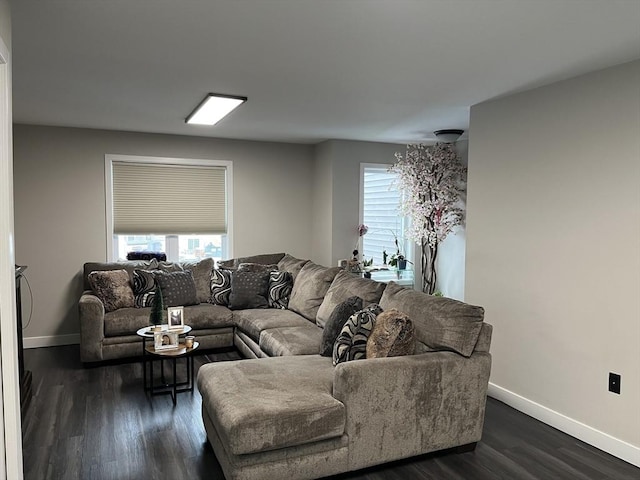 445 Cambridge St Unit 445, Worcester, MA 01610 - living room featuring baseboards, dark wood-style flooring, and plenty of natural light