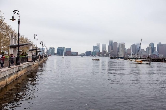 156 Porter St Unit 434, Boston, MA 02128 - water view with skyline