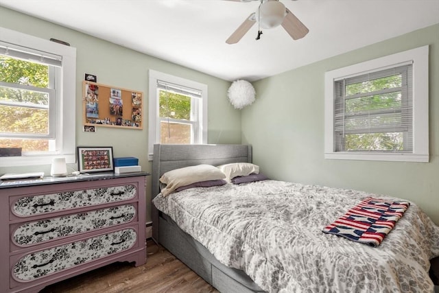 24 Springwell Rd, Billerica, MA 01821 - bedroom with wood finished floors and ceiling fan