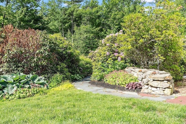 481 W Townsend Rd, Lunenburg, MA 01462 - view of yard