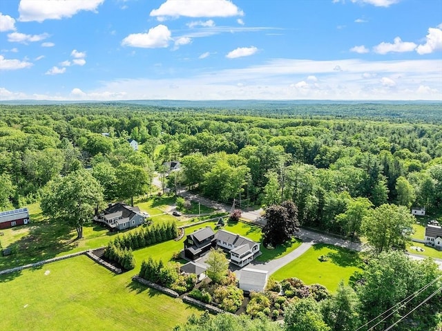 481 W Townsend Rd, Lunenburg, MA 01462 - aerial view of a forest