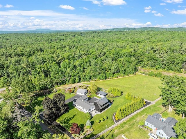 481 W Townsend Rd, Lunenburg, MA 01462 - drone / aerial view of a forest