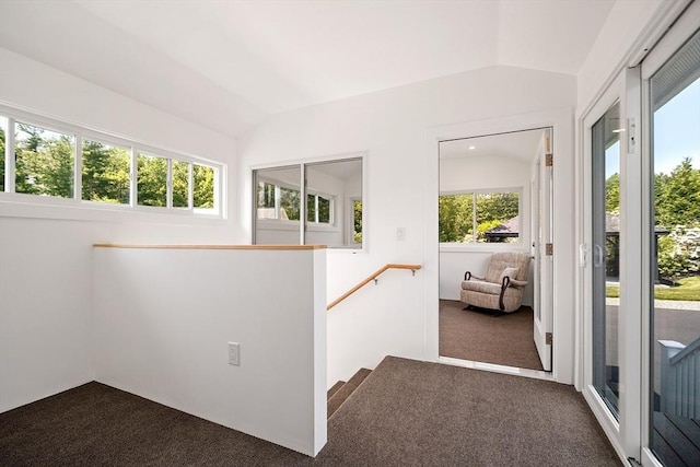 481 W Townsend Rd, Lunenburg, MA 01462 - spare room with lofted ceiling and carpet floors