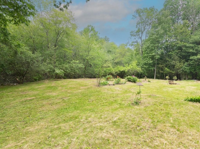 10 Ash Ln, Sherborn, MA 01770 - view of grassy yard with a forest view