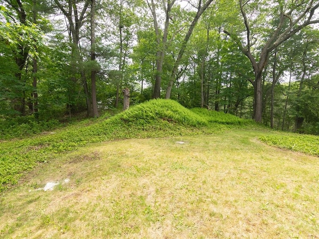 10 Ash Ln, Sherborn, MA 01770 - view of yard