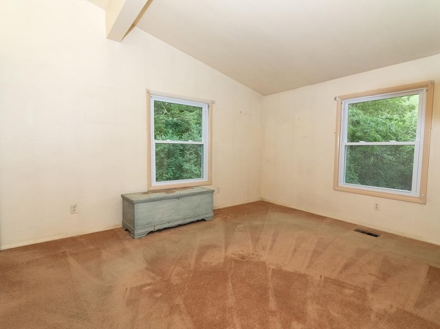 10 Ash Ln, Sherborn, MA 01770 - carpeted empty room with healthy amount of natural light
