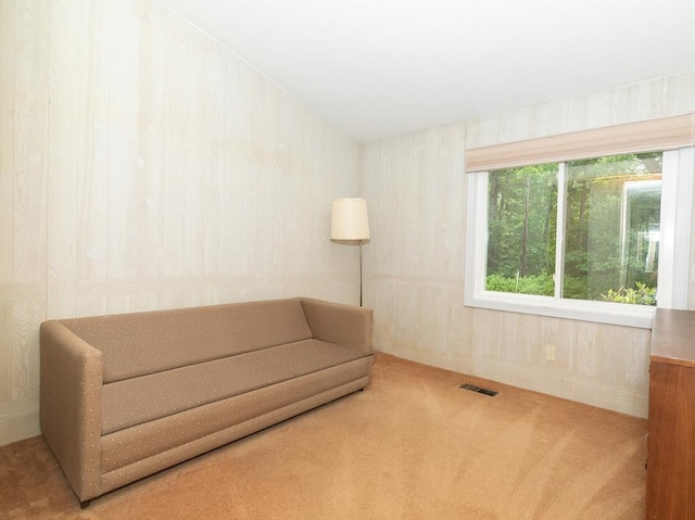 10 Ash Ln, Sherborn, MA 01770 - living area with carpet flooring