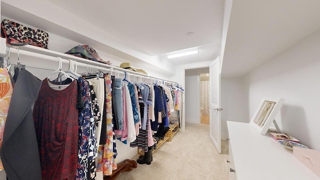52 Sanborn St Unit 408, Reading, MA 01867 - walk in closet featuring carpet