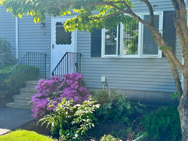 view of entrance to property