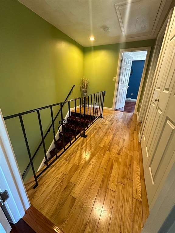 stairs with wood-type flooring