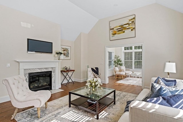 living room featuring wood-type flooring, high vaulted ceiling, and a fireplace