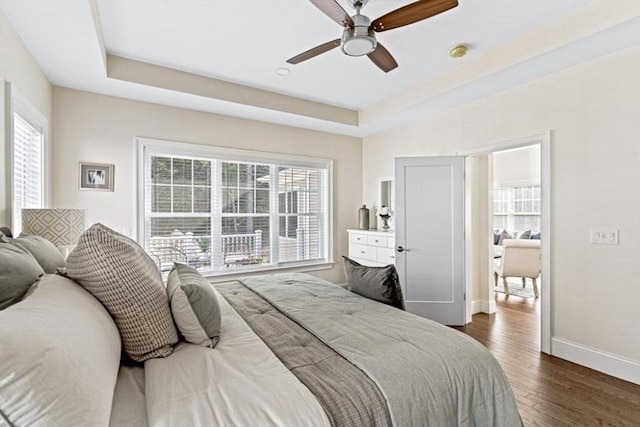 bedroom featuring dark wood-type flooring, ceiling fan, a tray ceiling, and multiple windows