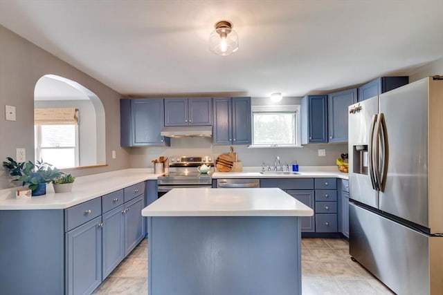 477 Laws Brook Rd, Concord, MA 01742 - kitchen featuring appliances with stainless steel finishes, blue cabinetry, a sink, and healthy amount of natural light
