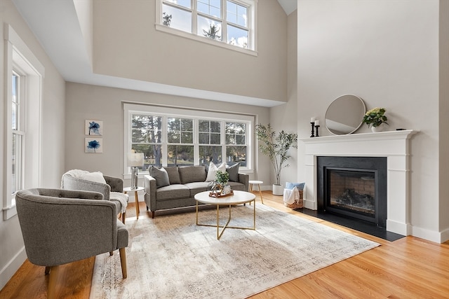 living room with hardwood / wood-style flooring and a high ceiling