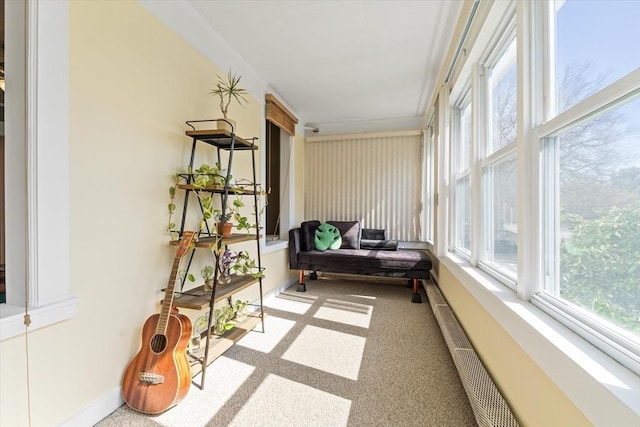 sunroom featuring baseboards and carpet flooring