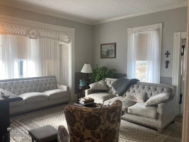 living room with crown molding