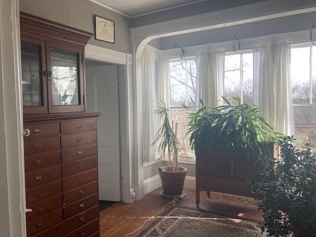 living area with crown molding