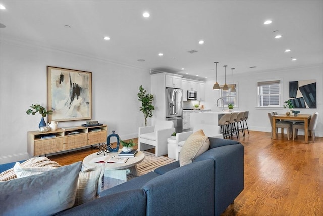 living room with wood-type flooring, sink, and crown molding