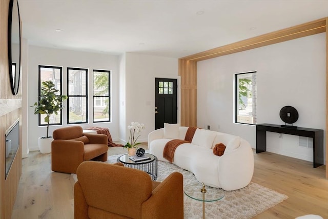 living room featuring a premium fireplace and light hardwood / wood-style floors