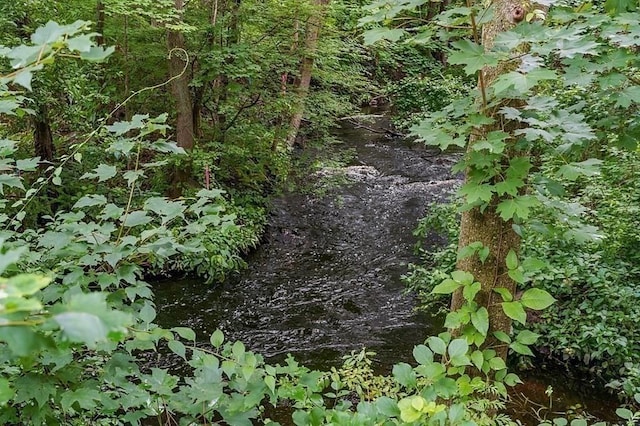 11 Cushing Pl Unit 106, Chelmsford, MA 01824 - view of nature