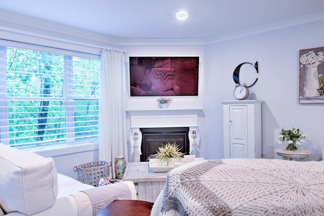 11 Cushing Pl Unit 106, Chelmsford, MA 01824 - bedroom with multiple windows, a fireplace, and ornamental molding