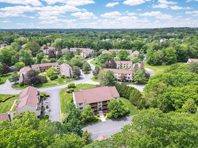 99 Apache Way Unit 99, Tewksbury, MA 01876 - bird's eye view of a forest