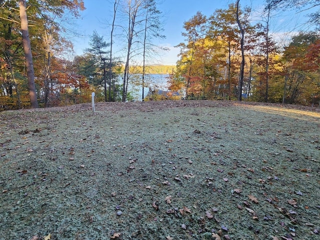 view of yard featuring a water view