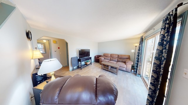 living room with light wood-type flooring