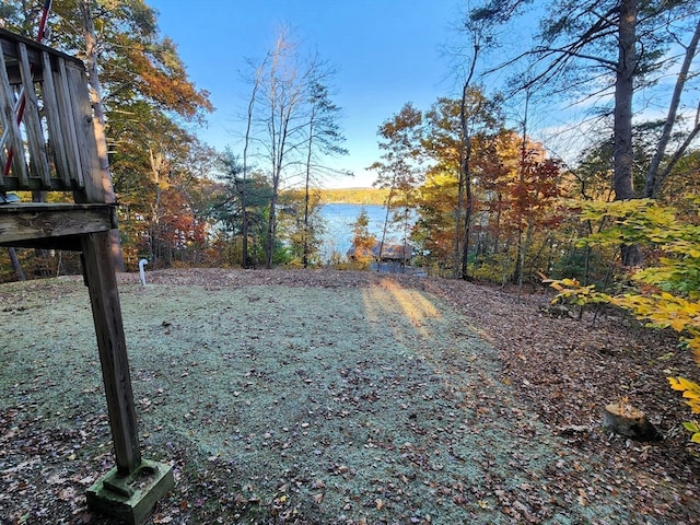 view of yard with a water view