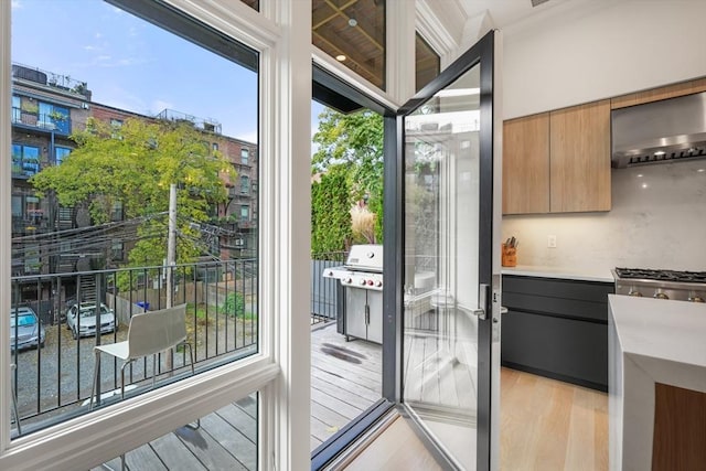 30 Concord Sq Unit 1, Boston, MA 02118 - doorway featuring crown molding and light wood finished floors
