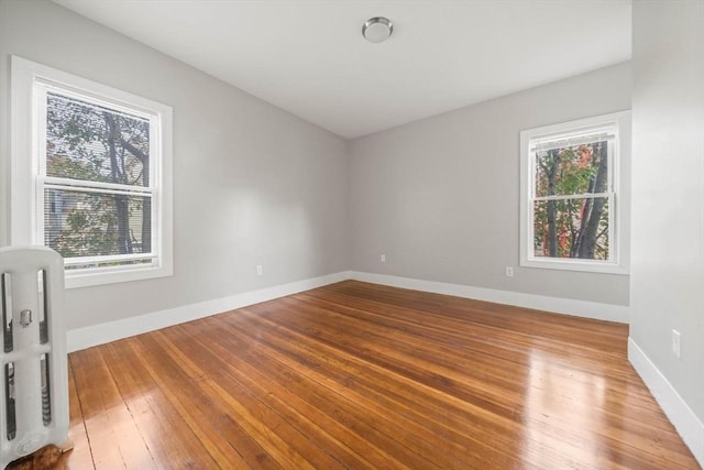 17 Magnolia Sq, Boston, MA 02125 - unfurnished room with wood-type flooring and baseboards