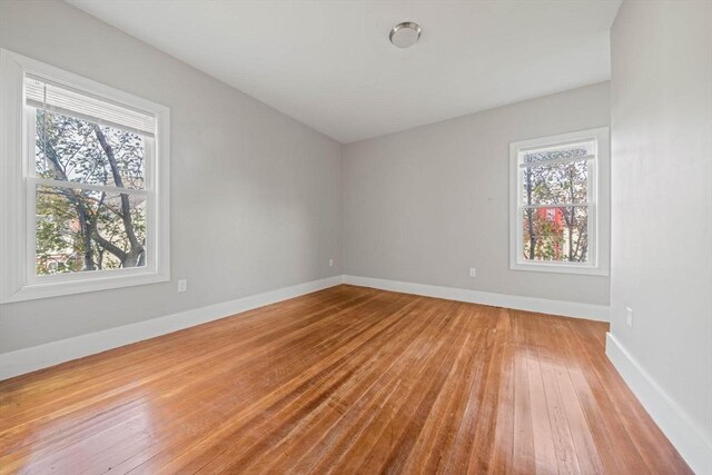 17 Magnolia Sq, Boston, MA 02125 - spare room featuring healthy amount of natural light, light wood-style flooring, and baseboards